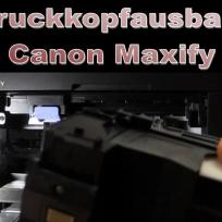 Druckkopfausbau Canon Maxify Drucker